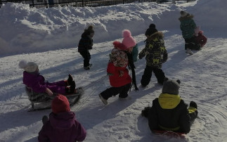 Эх, саночки – ледяночки! Эх, саночки – ледяночки!.