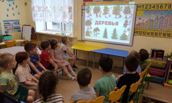 Проект «Деревья нашего края» Проект «Деревья нашего края».
