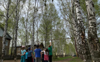 Проект «Птицы родного края» Проект «Птицы родного края».