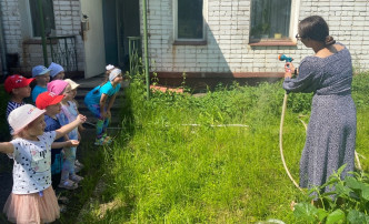 День эколога День эколога.