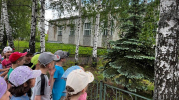 День эколога День эколога.