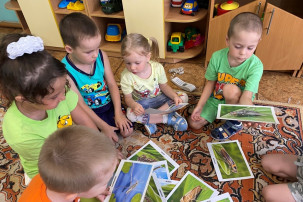 Проект «Удивительный мир насекомых» Проект «Удивительный мир насекомых».