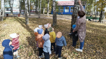 Проект "Осенние листочки" Проект "Осенние листочки".