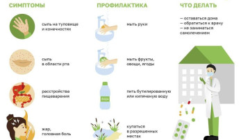 Профилактика энтеровирусной инфекции Профилактика энтеровирусной инфекции.