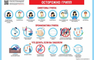 Профилактика гриппа и ОРВИ Профилактика гриппа и ОРВИ.