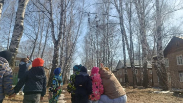 День птиц День птиц.