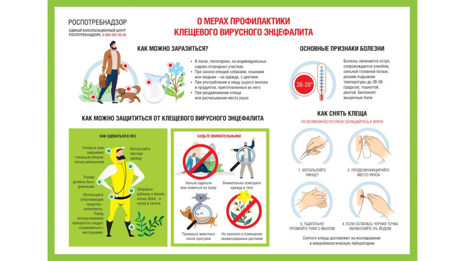 Меры профилактики клещевого энцефалита Меры профилактики клещевого энцефалита.