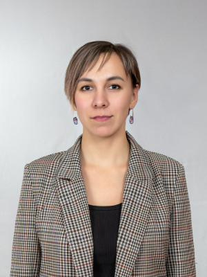 Педагогический работник Волкова Альбина Анатольевна Педагогический работник Волкова Альбина Анатольевна